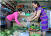 Thừa Thiên Huế: Rào cản trong tiếp cận việc làm đối với lao động nữ nông thôn