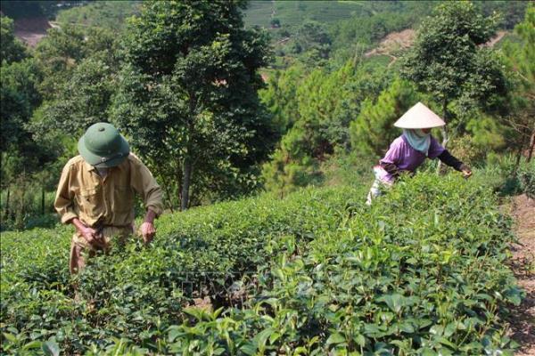 Tỷ lệ hộ nghèo ở Lạng Sơn ước giảm còn 5,88% vào cuối năm 2021