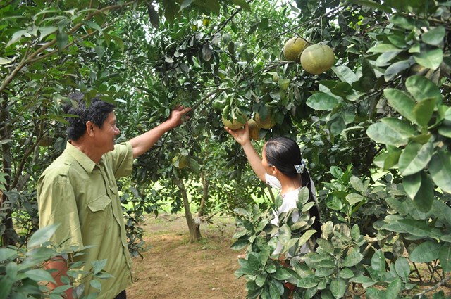 Hoà Bình: Triển khai rà soát hộ nghèo, hộ cận nghèo và hộ có mức sống trung bình giai đoạn 2022 – 2025 - Ảnh 1. Hoà Bình: Triển khai rà soát hộ nghèo, hộ cận nghèo và hộ có mức sống trung bình giai đoạn 2022 – 2025 - Ảnh 1.
