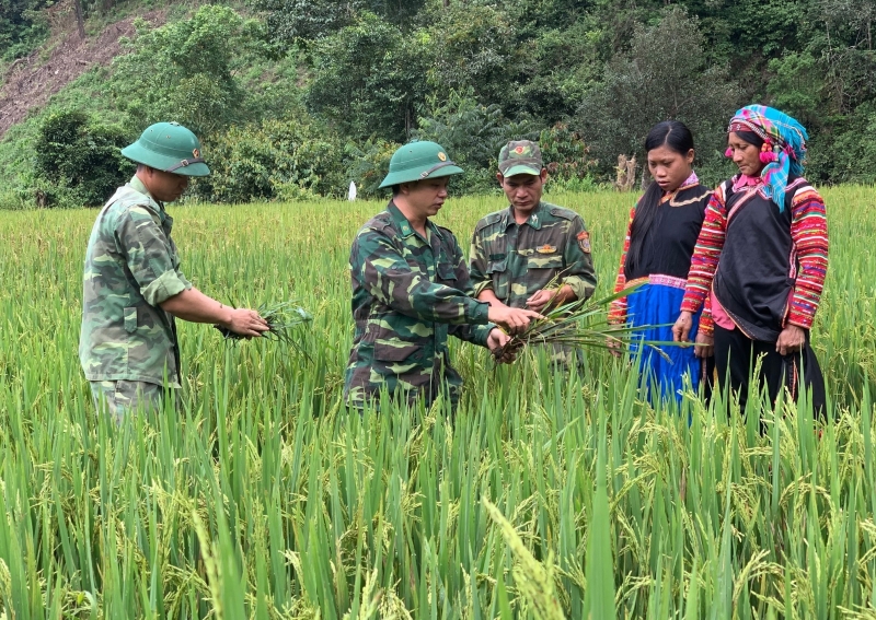 Cán bộ, chiến sĩ Đồn Biên phòng Pa Ủ giúp bà con dân tộc La Hủ ở bản Hà Si, xã Pa Ủ, huyện Mường Tè, tỉnh Lai Châu khai hoang ruộng trồng lúa để bảo đảm lương thực.