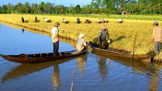 Bạc Liêu: Tập trung đầu tư nguồn lực cho giảm nghèo có trọng tâm, trọng điểm