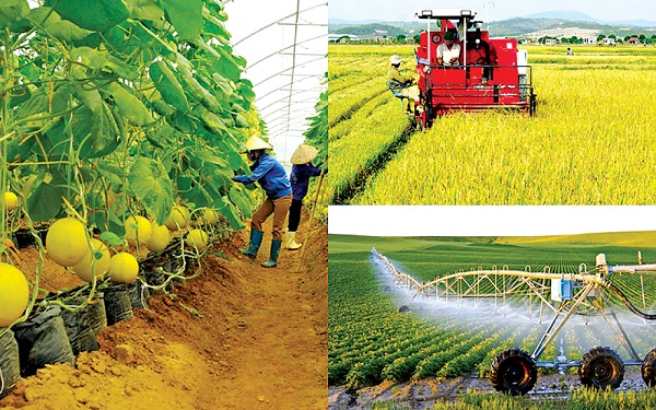 Phát triển kinh tế nông nghiệp công nghệ cao.